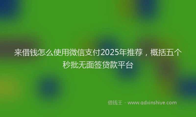 来借钱怎么使用微信支付2025年推荐，概括五个秒批无面签贷款平台