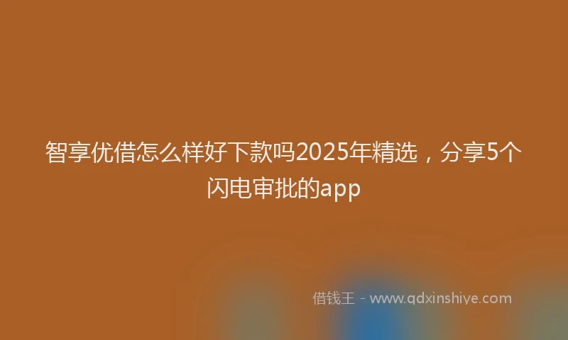 智享优借怎么样好下款吗2025年精选，分享5个闪电审批的app