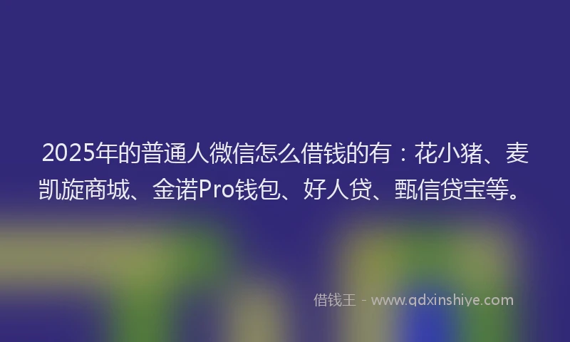 2025年的普通人微信怎么借钱的有：花小猪、麦凯旋商城、金诺Pro钱包、好人贷、甄信贷宝等。