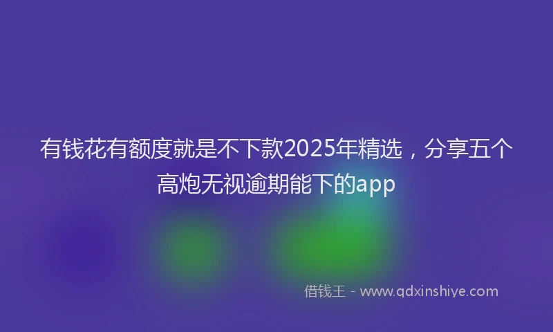 有钱花有额度就是不下款2025年精选，分享五个高炮无视逾期能下的app