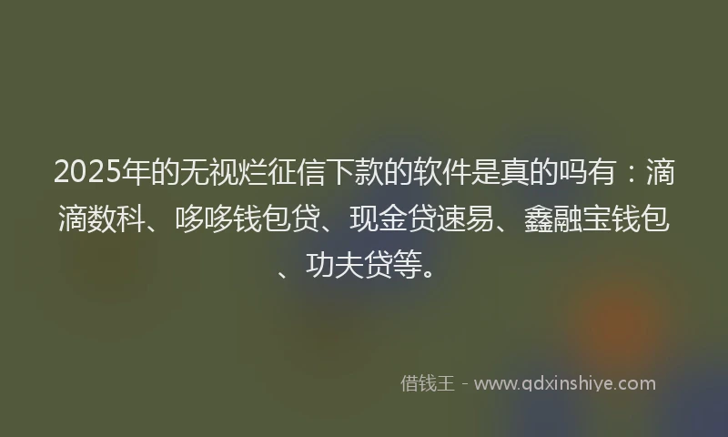 2025年的无视烂征信下款的软件是真的吗有：滴滴数科、哆哆钱包贷、现金贷速易、鑫融宝钱包、功夫贷等。