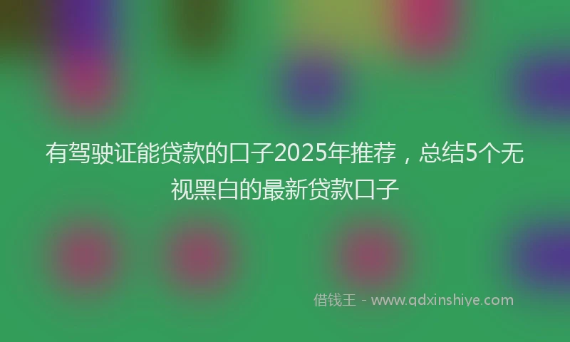 有驾驶证能贷款的口子2025年推荐，总结5个无视黑白的最新贷款口子