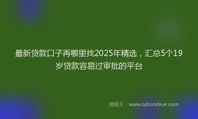 最新贷款口子再哪里找2025年精选，汇总5个19岁贷款容易过审批的平台