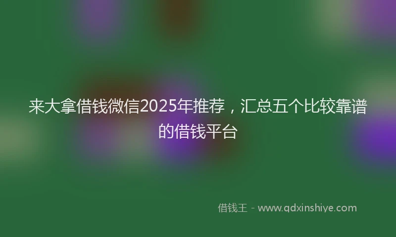 来大拿借钱微信2025年推荐，汇总五个比较靠谱的借钱平台