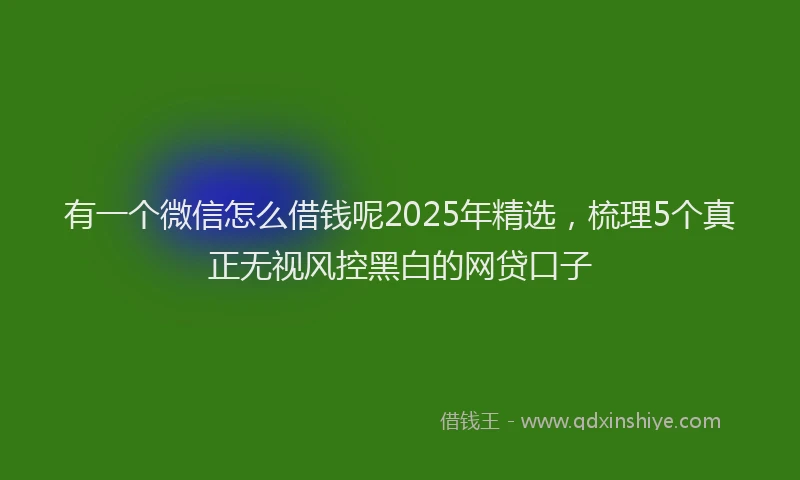 有一个微信怎么借钱呢2025年精选，梳理5个真正无视风控黑白的网贷口子