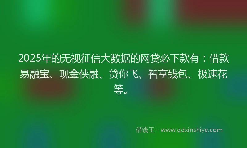 2025年的无视征信大数据的网贷必下款有：借款易融宝、现金侠融、贷你飞、智享钱包、极速花等。