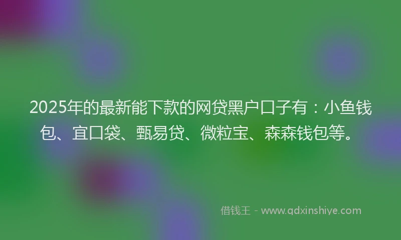2025年的最新能下款的网贷黑户口子有：小鱼钱包、宜口袋、甄易贷、微粒宝、森森钱包等。