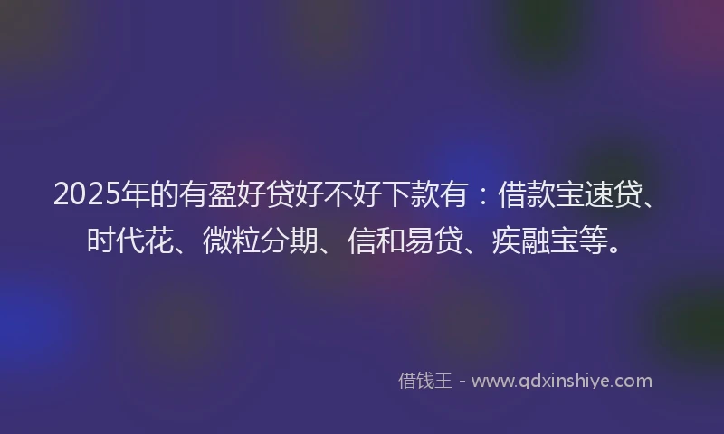 2025年的有盈好贷好不好下款有：借款宝速贷、时代花、微粒分期、信和易贷、疾融宝等。
