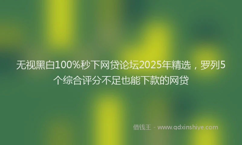 无视黑白100%秒下网贷论坛2025年精选，罗列5个综合评分不足也能下款的网贷