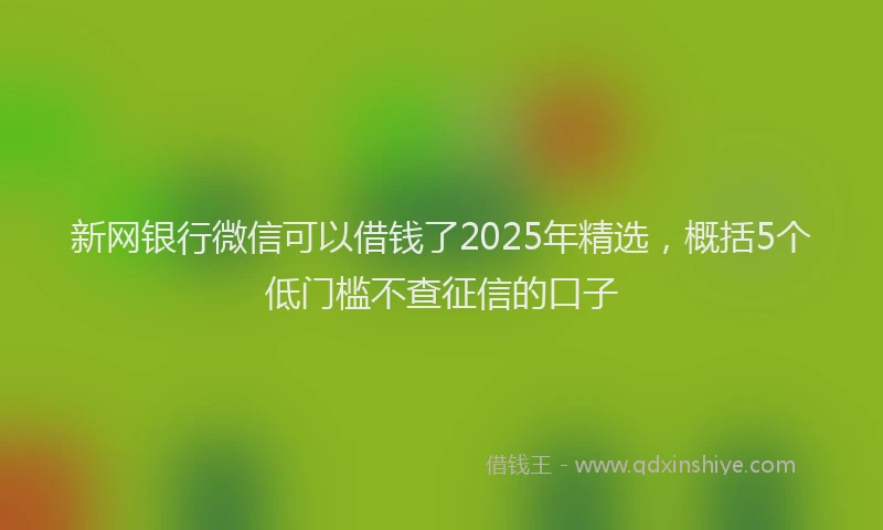 新网银行微信可以借钱了2025年精选，概括5个低门槛不查征信的口子