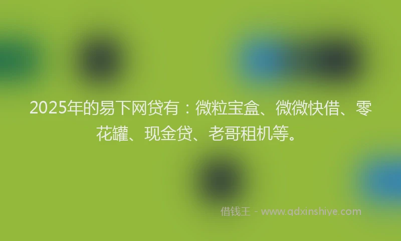 2025年的易下网贷有：微粒宝盒、微微快借、零花罐、现金贷、老哥租机等。