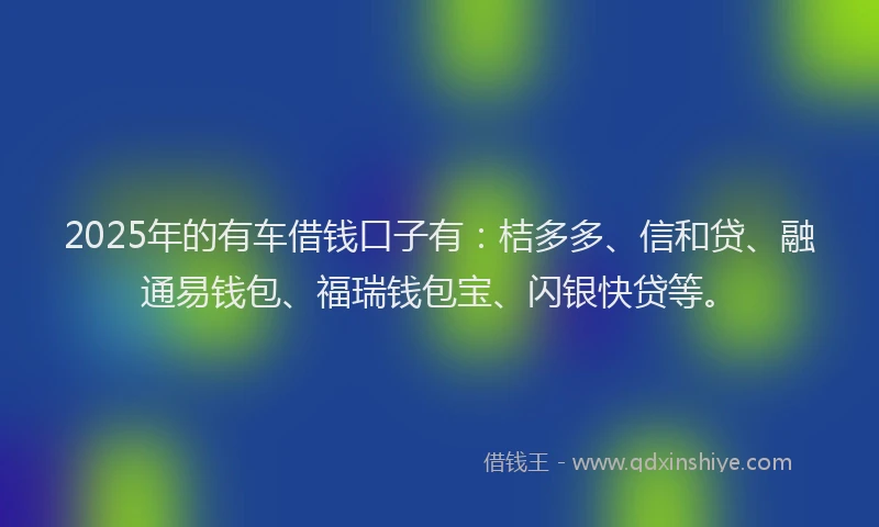 2025年的有车借钱口子有：桔多多、信和贷、融通易钱包、福瑞钱包宝、闪银快贷等。