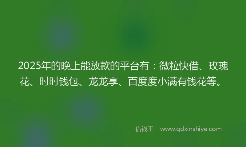 2025年的晚上能放款的平台有：微粒快借、玫瑰花、时时钱包、龙龙享、百度度小满有钱花等。