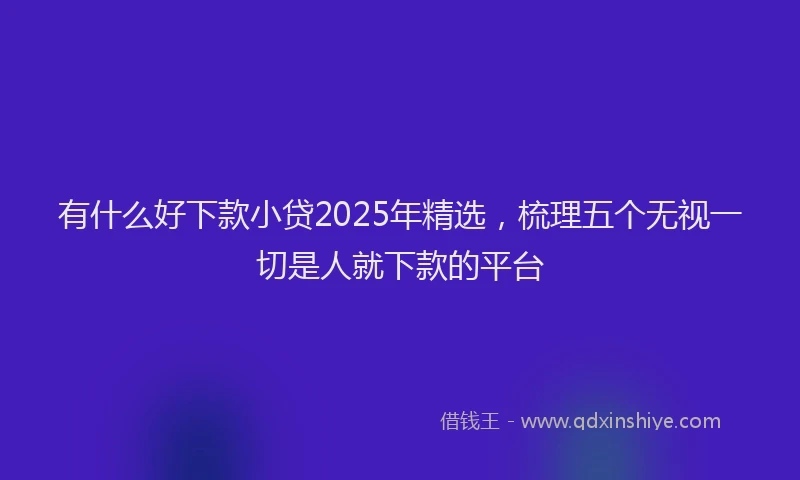 有什么好下款小贷2025年精选，梳理五个无视一切是人就下款的平台