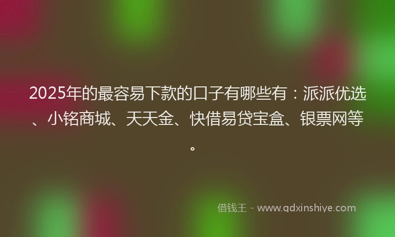 2025年的最容易下款的口子有哪些有：派派优选、小铭商城、天天金、快借易贷宝盒、银票网等。