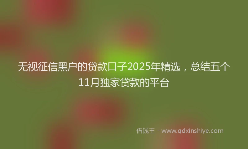 无视征信黑户的贷款口子2025年精选，总结五个11月独家贷款的平台