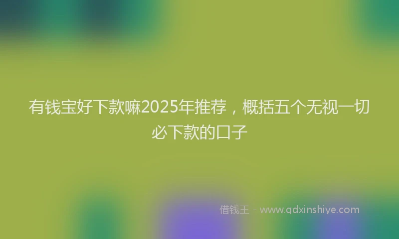 有钱宝好下款嘛2025年推荐，概括五个无视一切必下款的口子