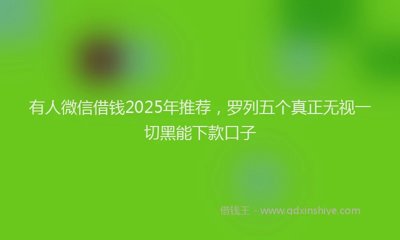 有人微信借钱2025年推荐，罗列五个真正无视一切黑能下款口子
