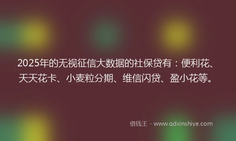 2025年的无视征信大数据的社保贷有：便利花、天天花卡、小麦粒分期、维信闪贷、盈小花等。