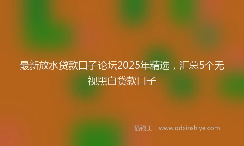 最新放水贷款口子论坛2025年精选，汇总5个无视黑白贷款口子