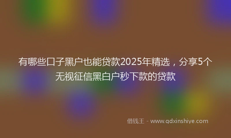 有哪些口子黑户也能贷款2025年精选，分享5个无视征信黑白户秒下款的贷款