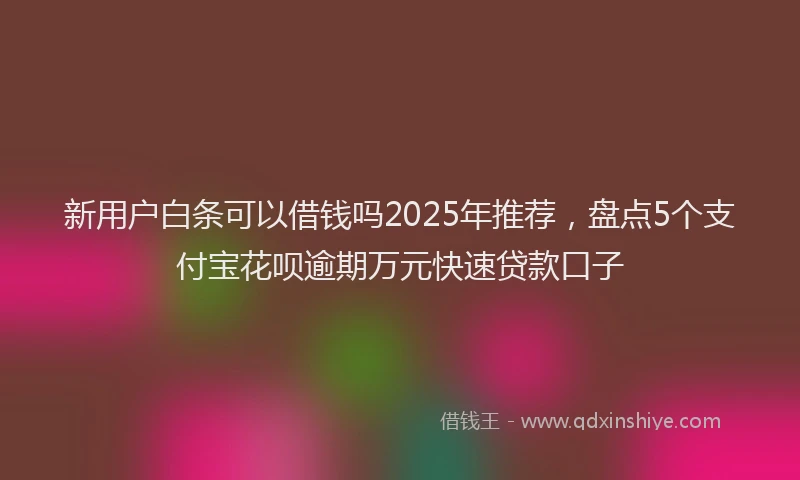 新用户白条可以借钱吗2025年推荐，盘点5个支付宝花呗逾期万元快速贷款口子
