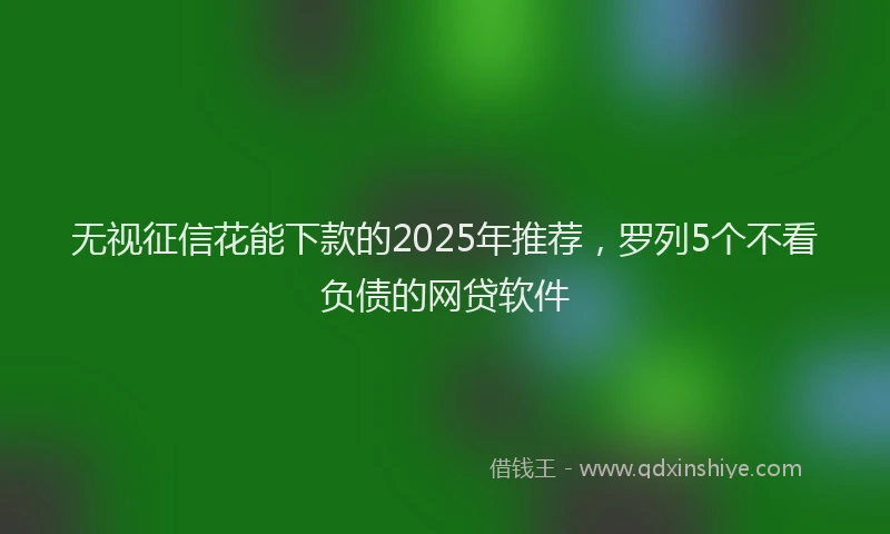 无视征信花能下款的2025年推荐，罗列5个不看负债的网贷软件