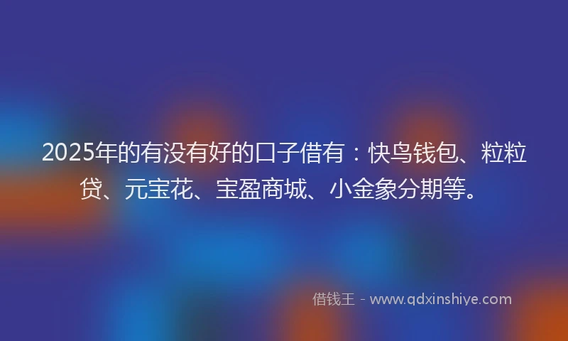 2025年的有没有好的口子借有：快鸟钱包、粒粒贷、元宝花、宝盈商城、小金象分期等。