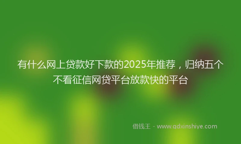 有什么网上贷款好下款的2025年推荐，归纳五个不看征信网贷平台放款快的平台
