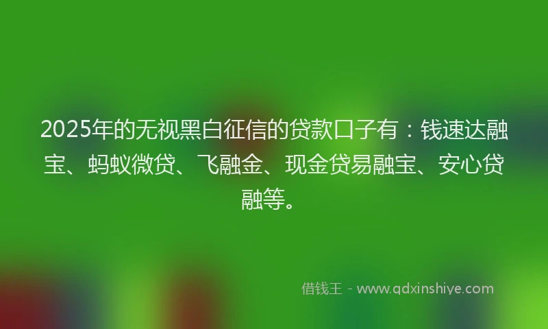 2025年的无视黑白征信的贷款口子有：钱速达融宝、蚂蚁微贷、飞融金、现金贷易融宝、安心贷融等。