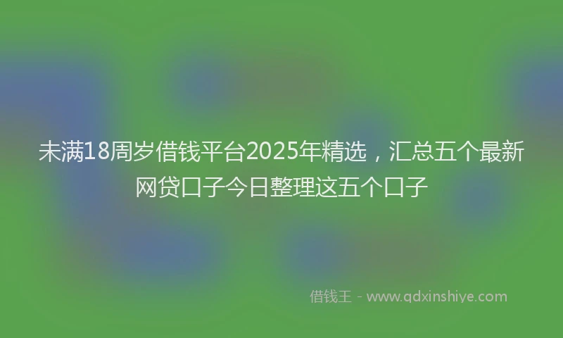 未满18周岁借钱平台2025年精选，汇总五个最新网贷口子今日整理这五个口子