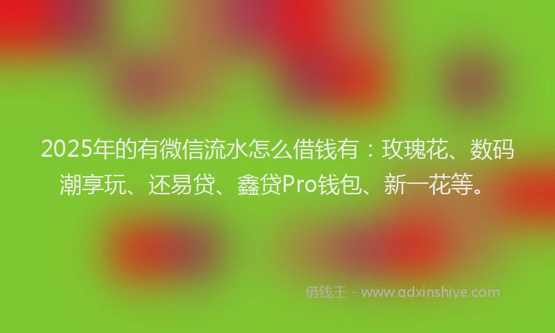 2025年的有微信流水怎么借钱有：玫瑰花、数码潮享玩、还易贷、鑫贷Pro钱包、新一花等。