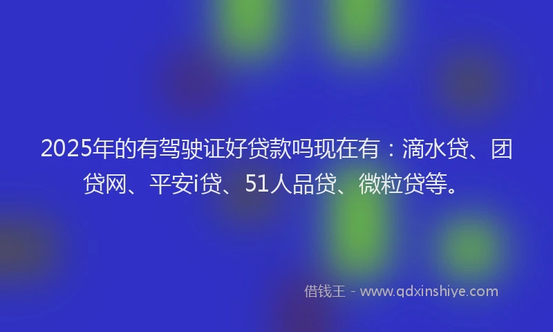 2025年的有驾驶证好贷款吗现在有：滴水贷、团贷网、平安i贷、51人品贷、微粒贷等。