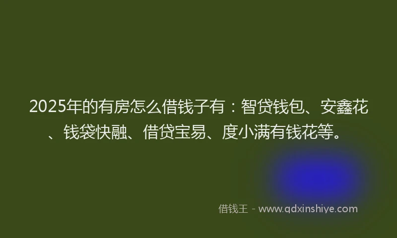 2025年的有房怎么借钱子有：智贷钱包、安鑫花、钱袋快融、借贷宝易、度小满有钱花等。