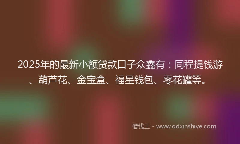 2025年的最新小额贷款口子众鑫有：同程提钱游、葫芦花、金宝盒、福星钱包、零花罐等。