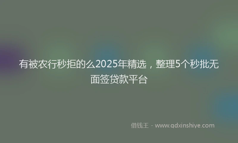 有被农行秒拒的么2025年精选，整理5个秒批无面签贷款平台