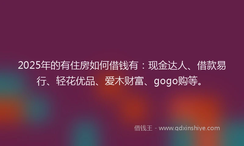 2025年的有住房如何借钱有：现金达人、借款易行、轻花优品、爱木财富、gogo购等。