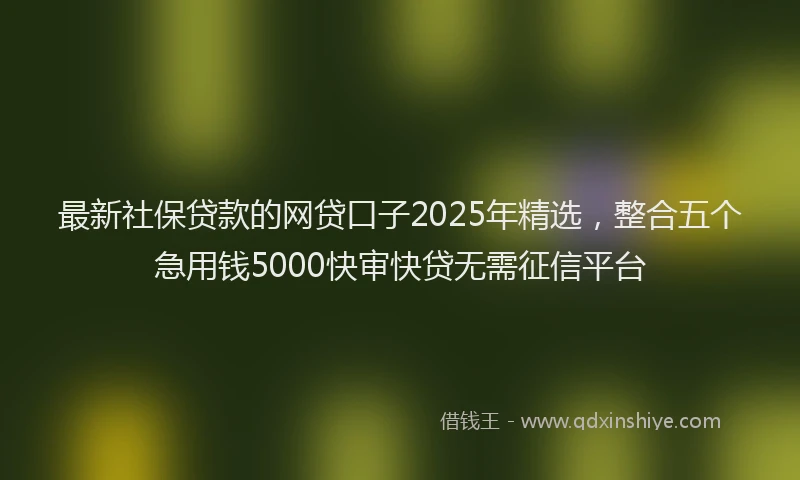 最新社保贷款的网贷口子2025年精选，整合五个急用钱5000快审快贷无需征信平台