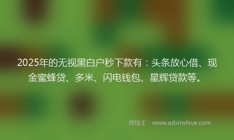 2025年的无视黑白户秒下款有：头条放心借、现金蜜蜂贷、多米、闪电钱包、星辉贷款等。
