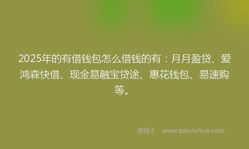 2025年的有借钱包怎么借钱的有：月月盈贷、爱鸿森快借、现金易融宝贷途、惠花钱包、易速购等。