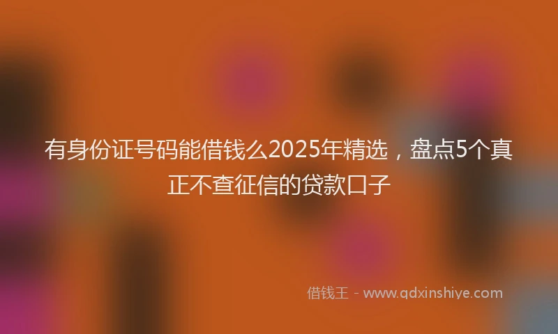 有身份证号码能借钱么2025年精选，盘点5个真正不查征信的贷款口子