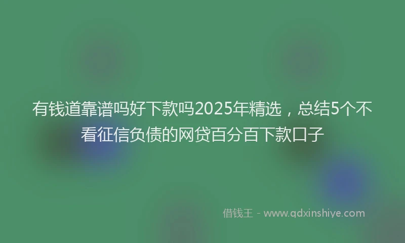 有钱道靠谱吗好下款吗2025年精选，总结5个不看征信负债的网贷百分百下款口子