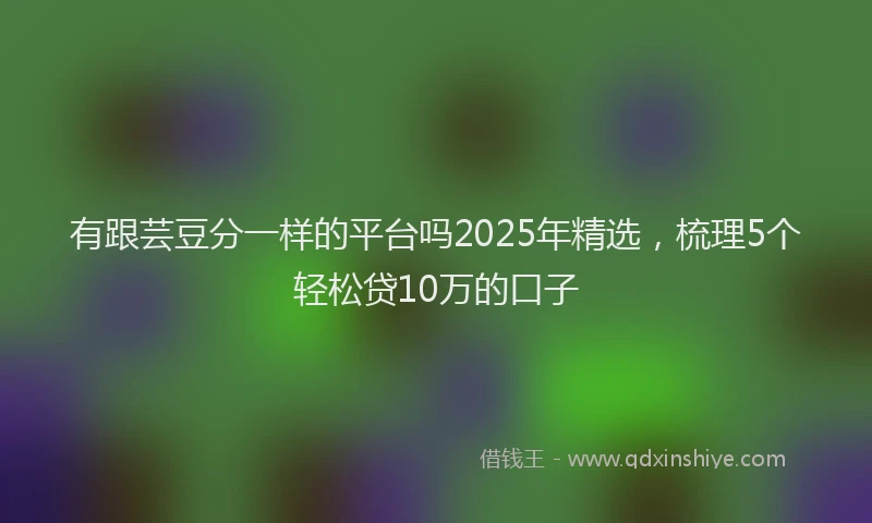 有跟芸豆分一样的平台吗2025年精选，梳理5个轻松贷10万的口子