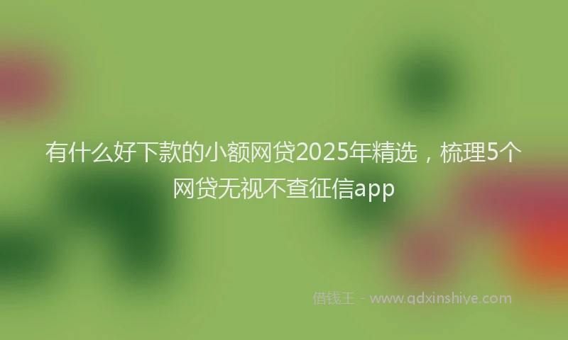 有什么好下款的小额网贷2025年精选，梳理5个网贷无视不查征信app