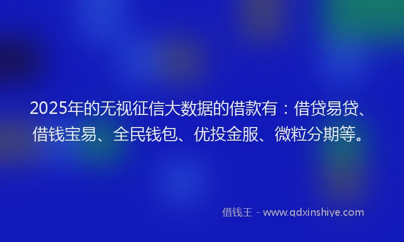 2025年的无视征信大数据的借款有：借贷易贷、借钱宝易、全民钱包、优投金服、微粒分期等。