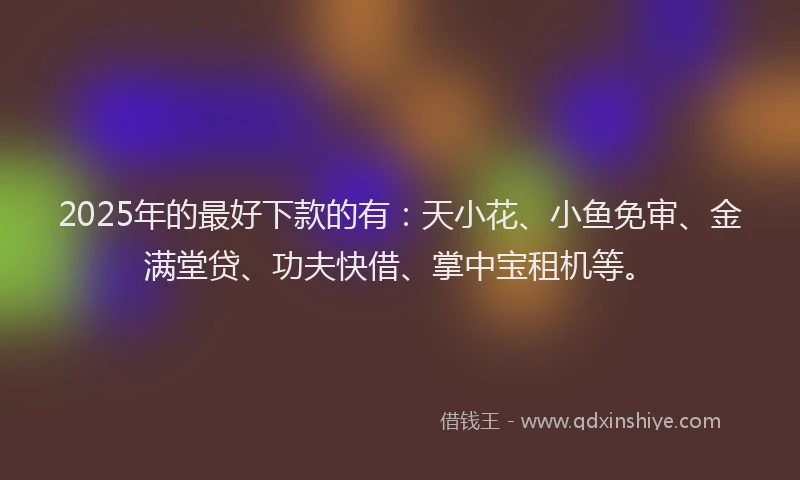 2025年的最好下款的有：天小花、小鱼免审、金满堂贷、功夫快借、掌中宝租机等。