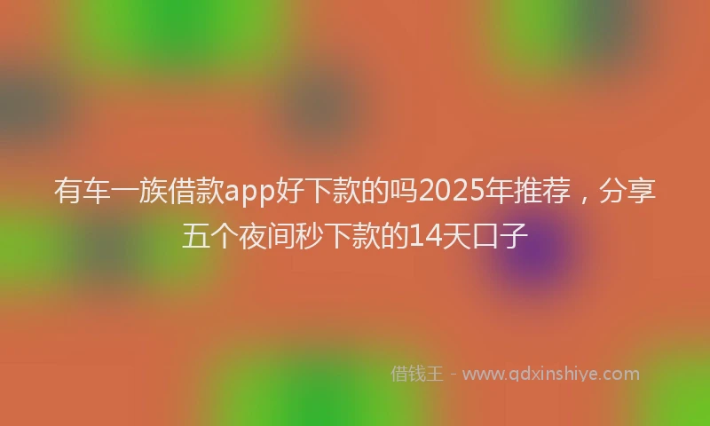 有车一族借款app好下款的吗2025年推荐，分享五个夜间秒下款的14天口子