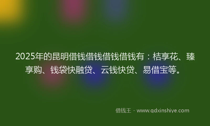 2025年的昆明借钱借钱借钱借钱有：桔享花、臻享购、钱袋快融贷、云钱快贷、易借宝等。