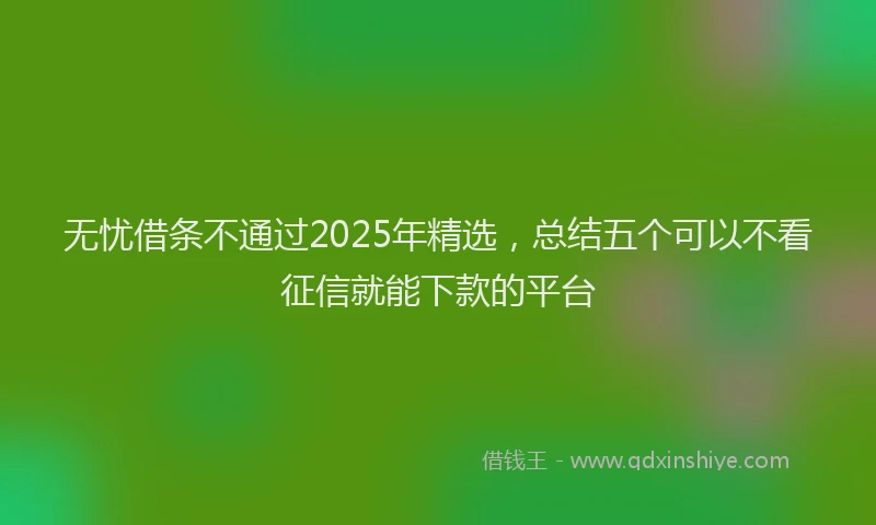 无忧借条不通过2025年精选，总结五个可以不看征信就能下款的平台