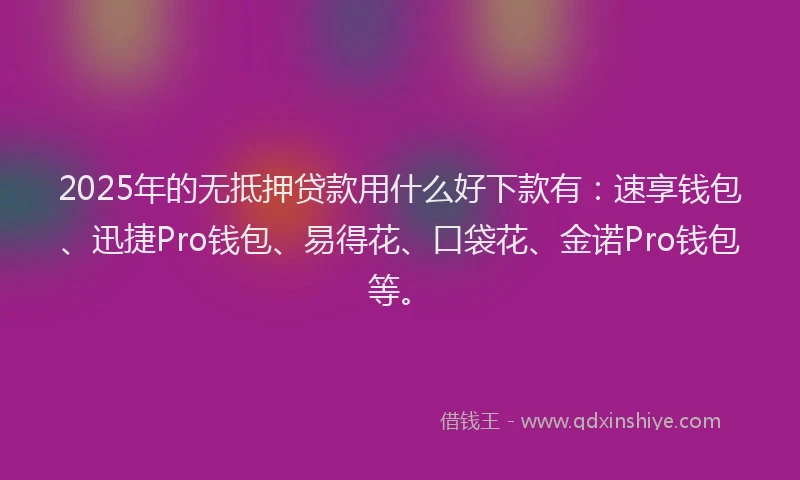 2025年的无抵押贷款用什么好下款有：速享钱包、迅捷Pro钱包、易得花、口袋花、金诺Pro钱包等。